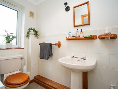 Picture 19